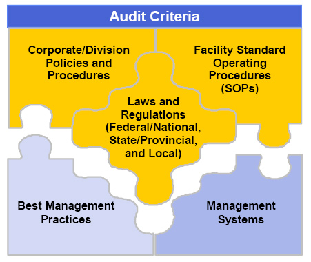 HSE Management System - Audits